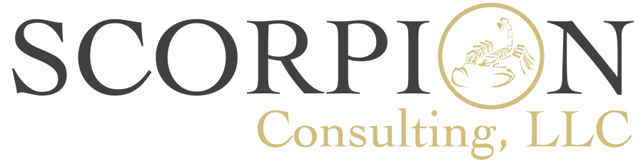 Scorpion Consulting LLC | Providing consulting services in government ...